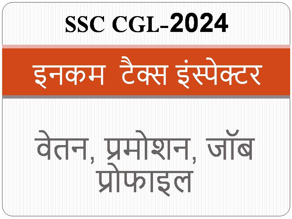 इनकम टैक्स इंस्पेक्टर , वेतन, जॉब प्रोफाइल, प्रमोशन